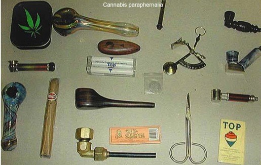 cannabis_paraphernalia