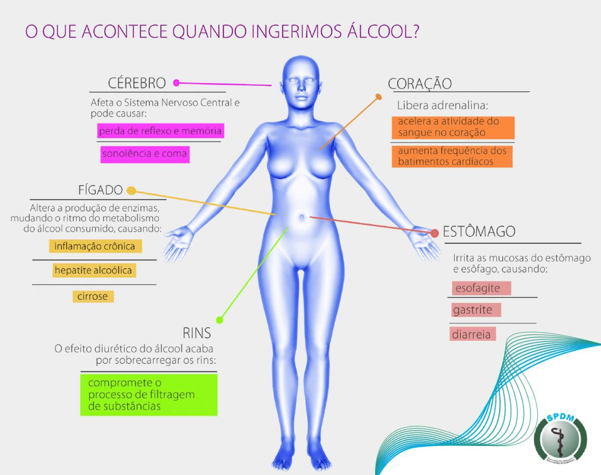 spdm infografico