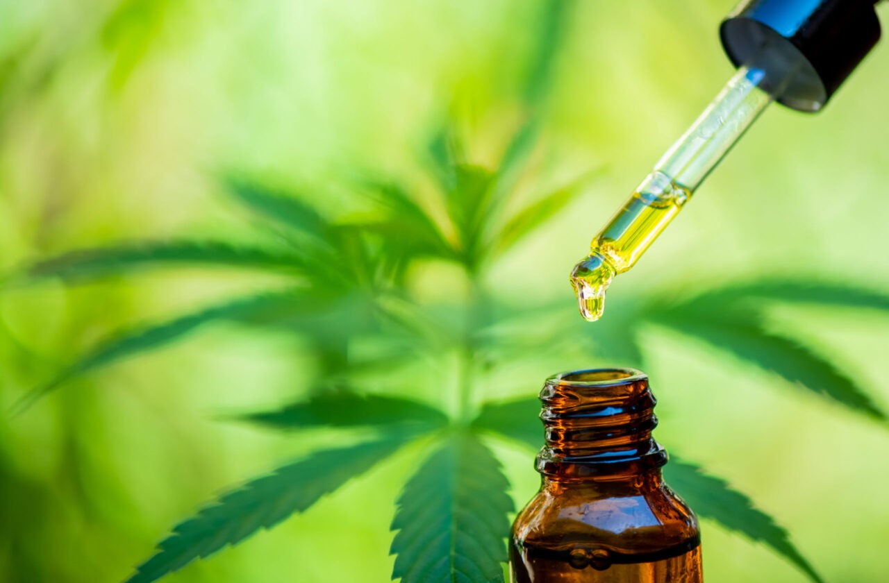 CBD hemp oil, drip, bio-medicine and ecology, hemp plant, herb,